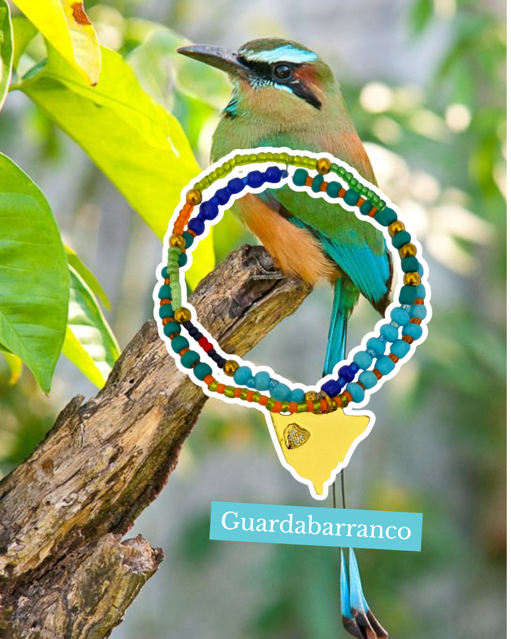 Pulsera Guardabarranco