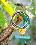 Pulsera Guardabarranco