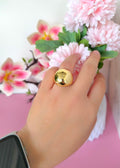 anillo domo