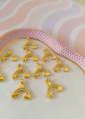 CHARMS viajero