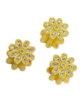 CHARMS flor